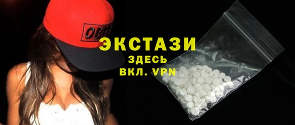 индика Сатка