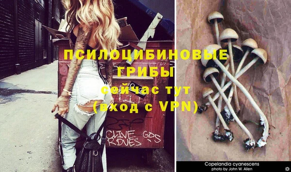 индика Сатка