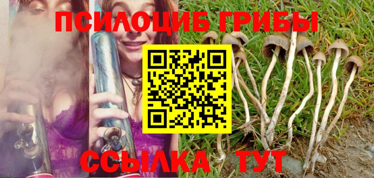 купить закладку  Галлюциногенные грибы мицелий  Вход с VPN  Алатырь 