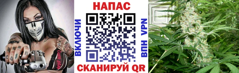 мориарти телеграм  Алатырь  МАРИХУАНА VHQ 